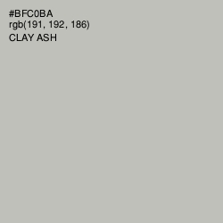 #BFC0BA - Clay Ash Color Image