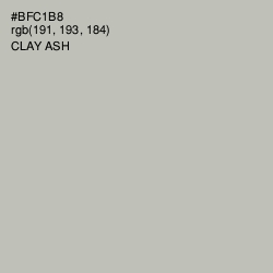 #BFC1B8 - Clay Ash Color Image