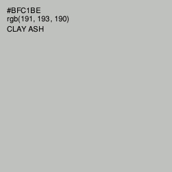 #BFC1BE - Clay Ash Color Image