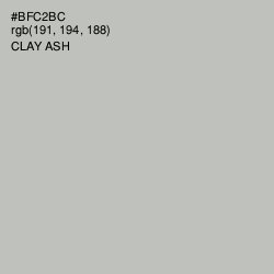#BFC2BC - Clay Ash Color Image