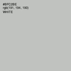 #BFC2BE - Clay Ash Color Image