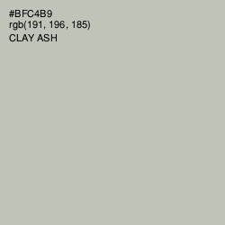 #BFC4B9 - Clay Ash Color Image