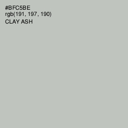 #BFC5BE - Clay Ash Color Image