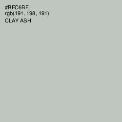 #BFC6BF - Clay Ash Color Image