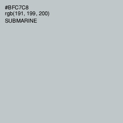 #BFC7C8 - Submarine Color Image