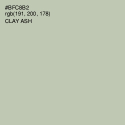 #BFC8B2 - Clay Ash Color Image