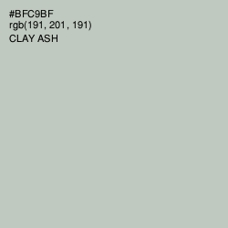 #BFC9BF - Clay Ash Color Image