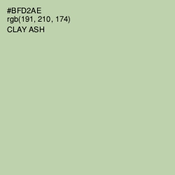 #BFD2AE - Clay Ash Color Image