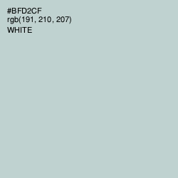 #BFD2CF - Jet Stream Color Image