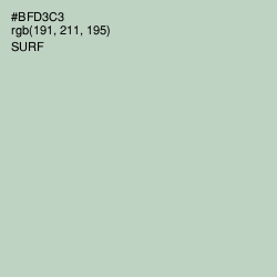 #BFD3C3 - Surf Color Image