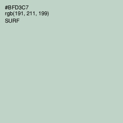 #BFD3C7 - Surf Color Image