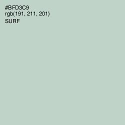 #BFD3C9 - Surf Color Image