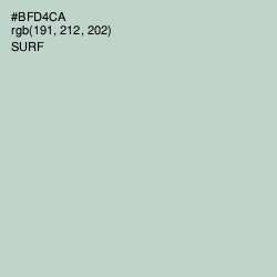 #BFD4CA - Surf Color Image