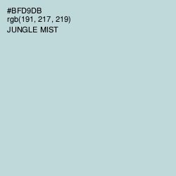 #BFD9DB - Jungle Mist Color Image