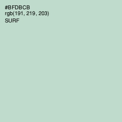 #BFDBCB - Surf Color Image