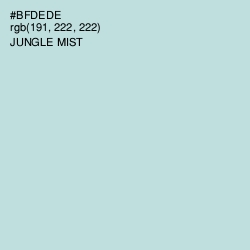 #BFDEDE - Jungle Mist Color Image