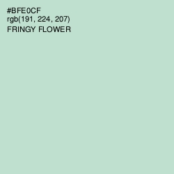 #BFE0CF - Fringy Flower Color Image