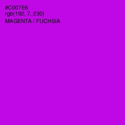 #C007E6 - Magenta / Fuchsia Color Image