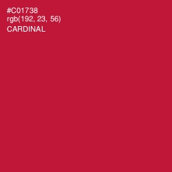 #C01738 - Cardinal Color Image