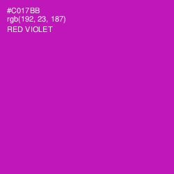 #C017BB - Red Violet Color Image