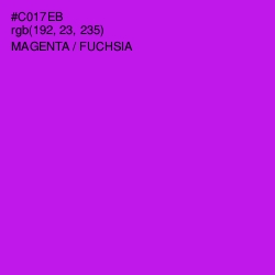 #C017EB - Magenta / Fuchsia Color Image