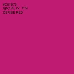 #C01B73 - Cerise Red Color Image