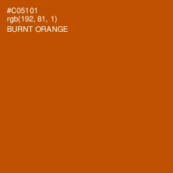 #C05101 - Burnt Orange Color Image