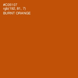 #C05107 - Burnt Orange Color Image