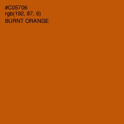 #C05706 - Burnt Orange Color Image