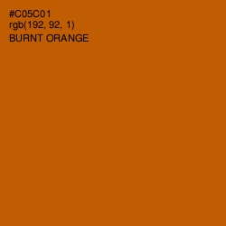 #C05C01 - Burnt Orange Color Image