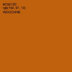 #C0610D - Indochine Color Image