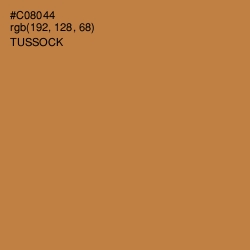 #C08044 - Tussock Color Image