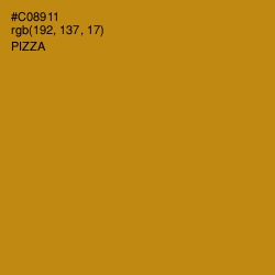 #C08911 - Pizza Color Image