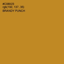 #C08923 - Brandy Punch Color Image