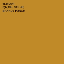 #C08A28 - Brandy Punch Color Image