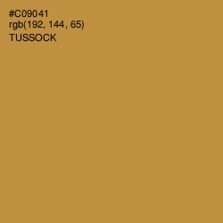 #C09041 - Tussock Color Image