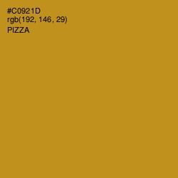 #C0921D - Pizza Color Image