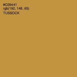 #C09441 - Tussock Color Image