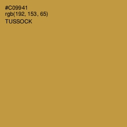 #C09941 - Tussock Color Image