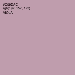 #C09DAC - Viola Color Image