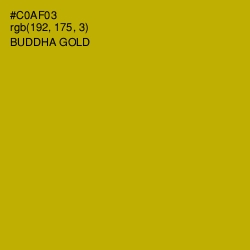 #C0AF03 - Buddha Gold Color Image