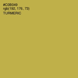 #C0B049 - Turmeric Color Image