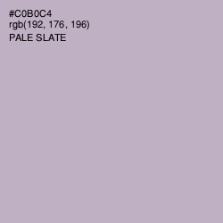 #C0B0C4 - Pale Slate Color Image