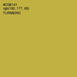 #C0B141 - Turmeric Color Image