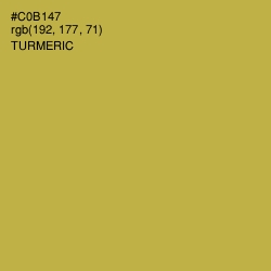 #C0B147 - Turmeric Color Image