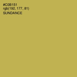 #C0B151 - Sundance Color Image