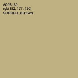 #C0B182 - Sorrell Brown Color Image