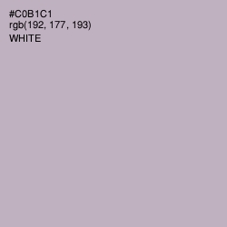 #C0B1C1 - Pale Slate Color Image