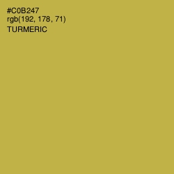 #C0B247 - Turmeric Color Image