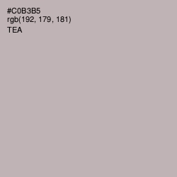 #C0B3B5 - Tea Color Image